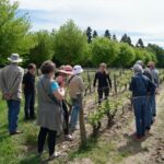 Loire Valley Wines Private Day Tour with Tastings from Tours or Amboise - Why This Tour Works Well