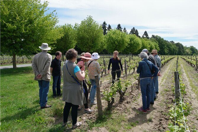 Loire Valley Wines Private Day Tour with Tastings from Tours or Amboise - Why This Tour Works Well