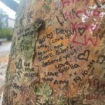 London: Camden Town Amy Winehouse Tour - Who Should Consider This Tour?