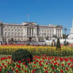 London: Changing of the Guard and Royal Palaces Walking Tour - The Practical Side of the Tour