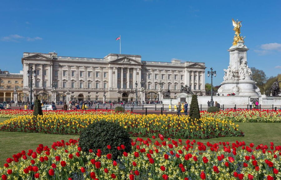 London: Changing of the Guard and Royal Palaces Walking Tour - The Practical Side of the Tour