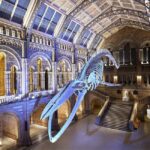 London: Guided Exploration at the Museum of Natural History - FAQ