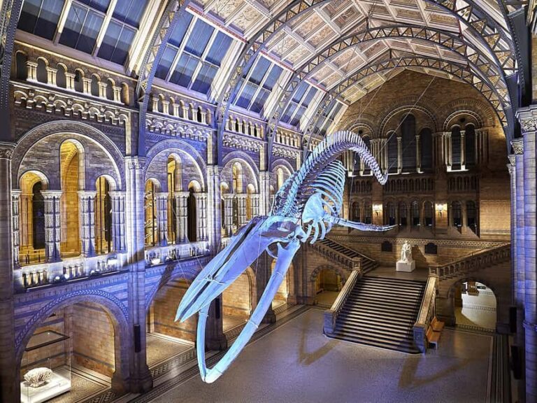 London: Guided Exploration at the Museum of Natural History - FAQ