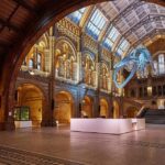 London: Guided Tour of Natural Marvels - Exploring the Museum’s Major Exhibits