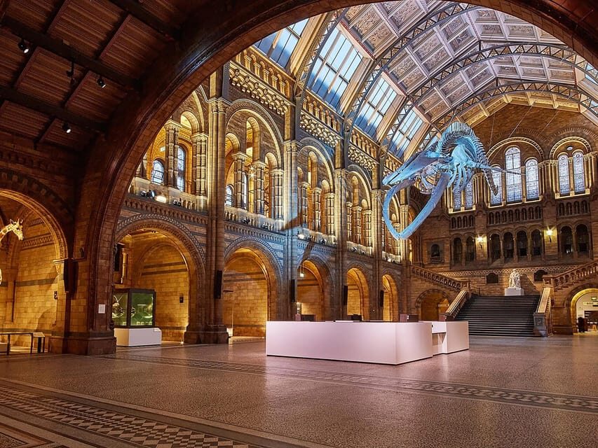 London: Guided Tour of Natural Marvels - Exploring the Museum’s Major Exhibits