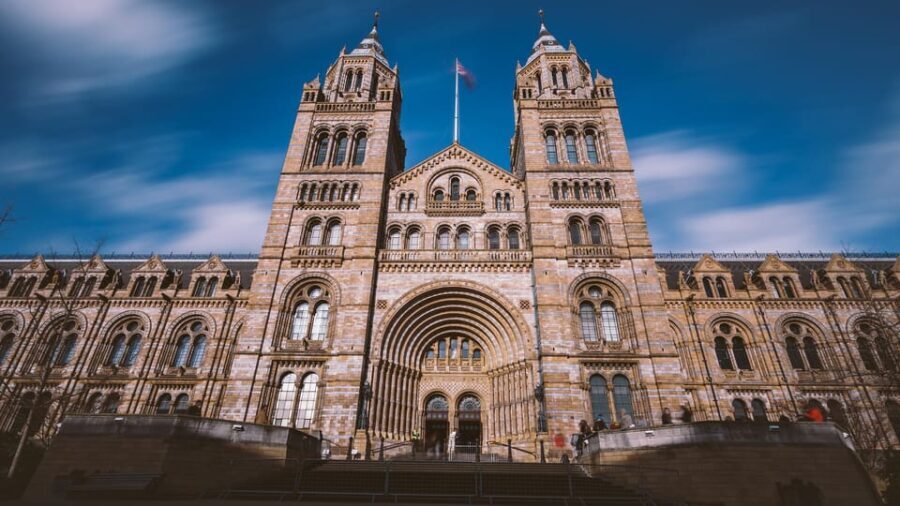 London: Guided Tour of the Natural History Museum - What the Reviews Say