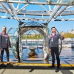 London: Harry Potter Tour with River Cruise & London Eye - The Practicalities