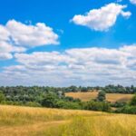 London: Hever Castle & Chartwell House Private Day Tour - What Makes This Tour Stand Out