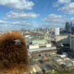 London: Jack the Ripper Walking Tour - The Final Word: Who Is This Tour Best For?