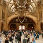 London: Natural History Museum Guided Tour - A Closer Look at the Tour Experience