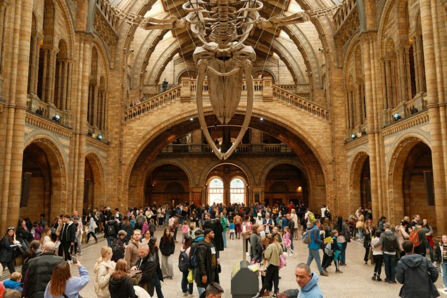 London: Natural History Museum Guided Tour - A Closer Look at the Tour Experience