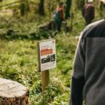 London: South Downs White Cliffs Day Trip with Train Tickets - Why This Tour Offers Great Value