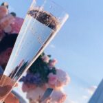 London Tootbus Bar Bus Sunset Tour with Drinks - Analyzing the Value and Practicalities