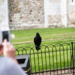 London: Tower of London Tour with Crown Jewels & Beefeaters - Detailed Breakdown of the Tour Itinerary