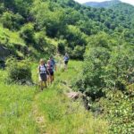 Lori Canyon Vacations - What Do Real Travelers Say?