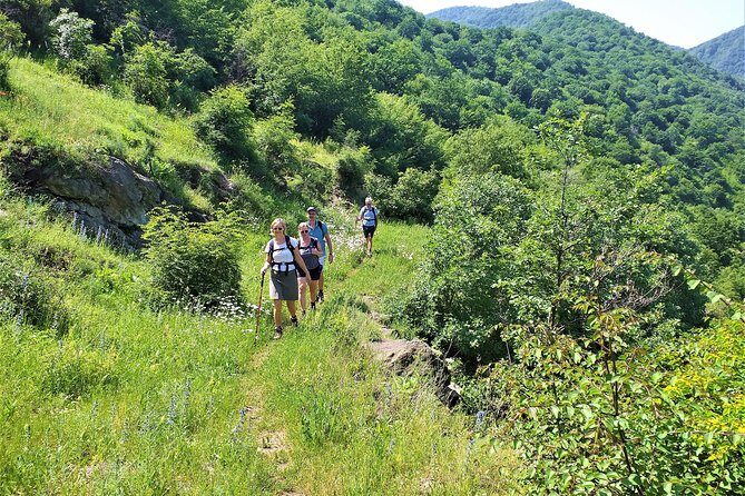 Lori Canyon Vacations - What Do Real Travelers Say?