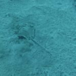 Los Cristianos: Basic Diver Course - The Real Value of This Experience