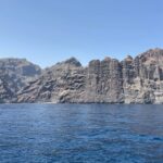 Los Gigantes: Private Sailing Tour with Swim, Drink, & Tapas - What Makes This Tour Stand Out?