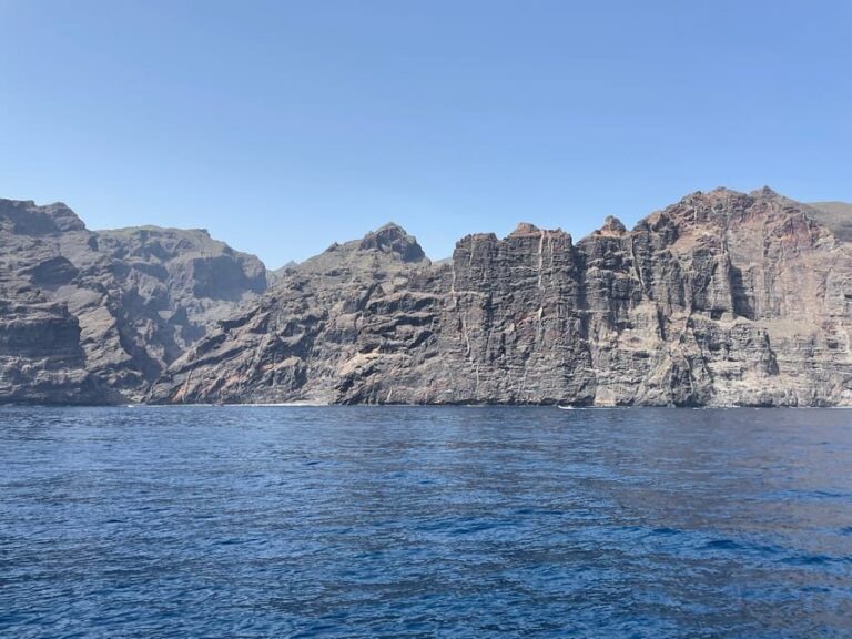 Los Gigantes: Private Sailing Tour with Swim, Drink, & Tapas - What Makes This Tour Stand Out?