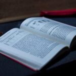 LoureShopping- Alex Rider - Why You Should Consider This Experience