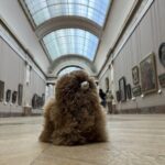 Louvre: All the stars of museum - Private guided 3h tour & entry - The Sum Up