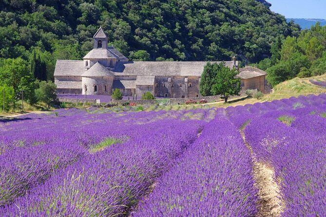 Luberon and its perched villages - The Majestic Abbey of Sénanque