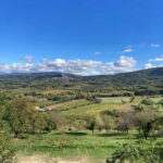 Luberon: themed bee-keeping bike rides with a local guide - Discovering the Luberon’s Charm Through Cycling