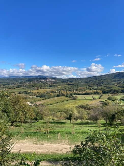 Luberon: themed bee-keeping bike rides with a local guide - Discovering the Luberon’s Charm Through Cycling