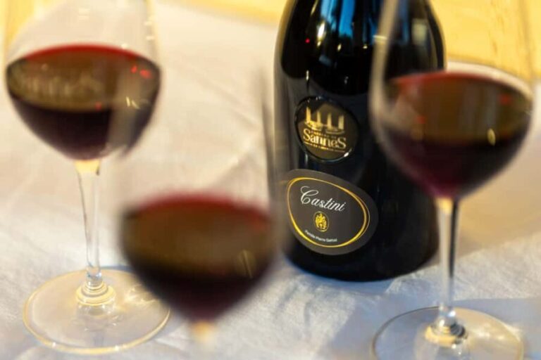 Luberon: visite de la Vigne au Verre et dégustations - Practical Details and Tips