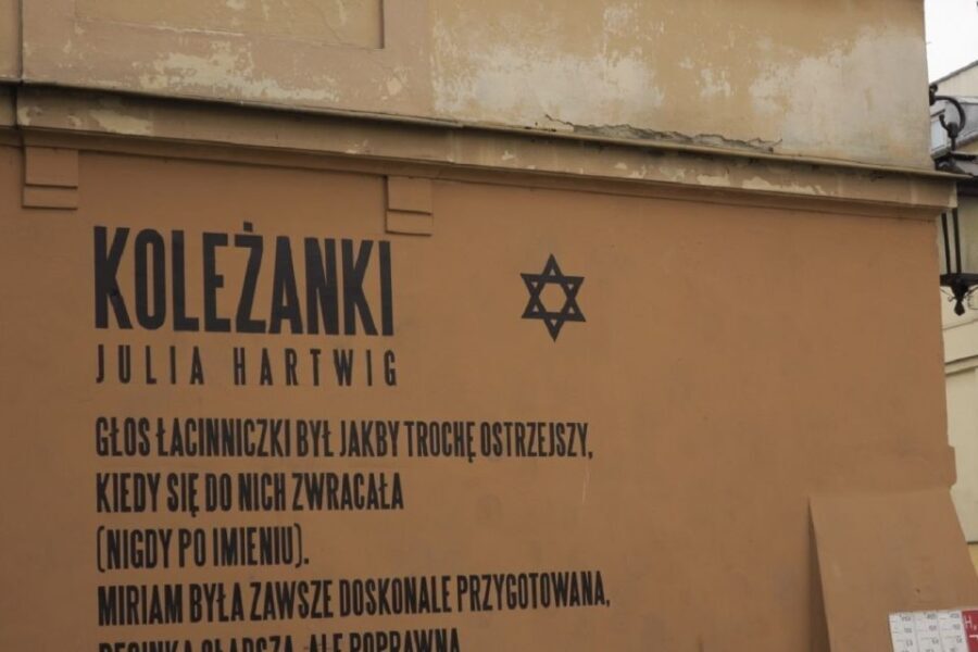 Lublin: Local Jewish Heritage Full-Day Guided Tour - What to Expect from the Tour