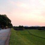 Lucca: Self-Guided Tour by Bike with MAP - Who Will Love This Tour?