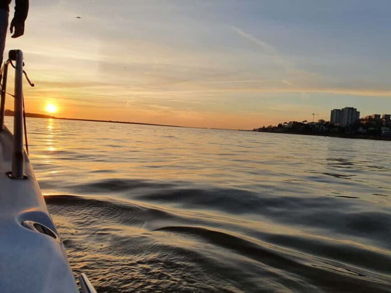 Luxury Douro Yacht Tour: Scenic Views & Complimentary Drinks - Who Should Consider This Tour?