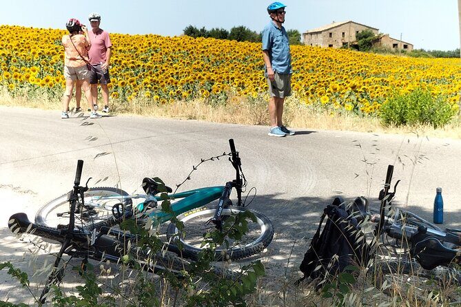 Luxury Eno and Oil experience, by e-bike and more... - Practicalities and What to Expect