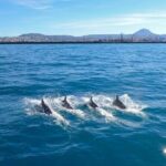 Luxury escape Sailing, shared from Hersonissos or Heraklion port - The Equipment and Extras