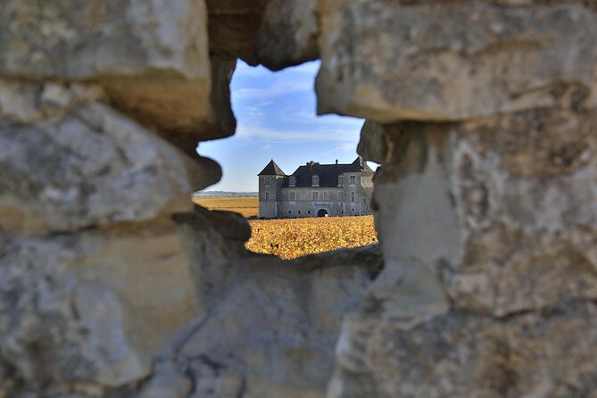 Luxury Luxury Wine Tour Experience - Who Should Book This Tour?