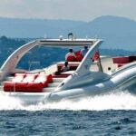 Luxury Opera 60 Whale & Dolphin Watching Experience - Who Will Love This Tour?