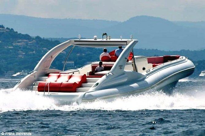 Luxury Opera 60 Whale & Dolphin Watching Experience - Who Will Love This Tour?