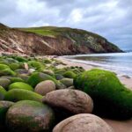 Luxury Photography Day Tour on Ring of Kerry and Skellig Ring - Fully Guided and Chauffeured - Who Would Love This Tour?