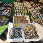 Luxury Private and Guided Istanbul Food Tour with a local guide - The Sum Up