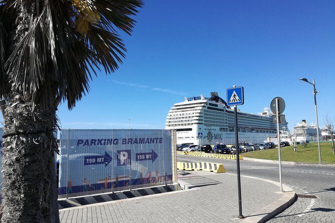 Luxury Private Transfer Civitavecchia Port to Fiumicino Airport - Who Should Book This Transfer?