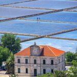 Luxury Private Transfer Dubrovnik - Split with lunch in Ston - Authenticity and Value in a Private Transfer