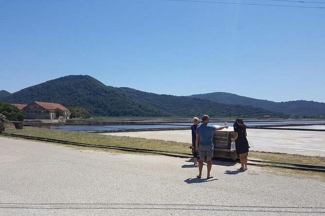 Luxury private transfer Split - Dubrovnik with lunch in Ston - The Experience: From Split to Dubrovnik with a Stop in Ston