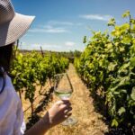 LUXURY PRIVATE Wine Tasting in CRETE (also for CRUISE SHIPS) - Why This Tour Works for Different Travelers