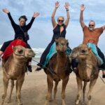 Luxury Tangier Private Day Tour from Malaga All inclusive - What Travelers Say