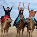 Luxury Tangier Private Day Tour from Marbella All inclusive - Authentic Experiences That Shine