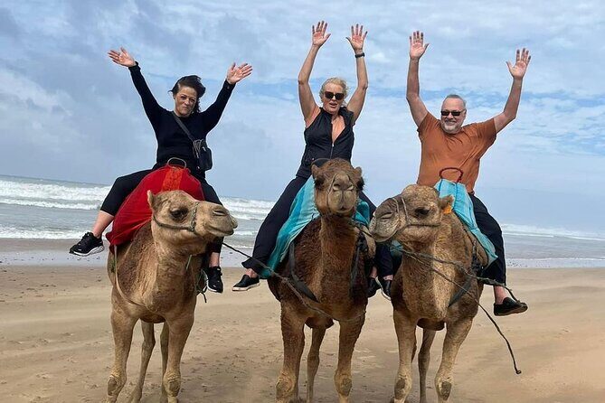 Luxury Tangier Private Day Tour from Marbella All inclusive - Authentic Experiences That Shine