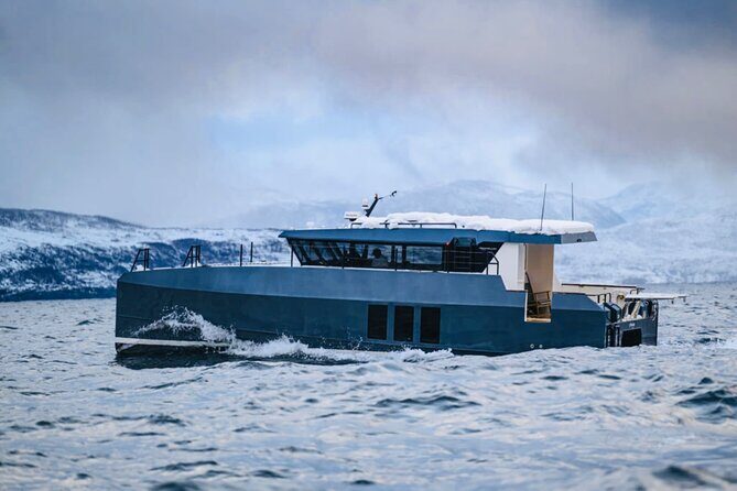 Luxury Whale Watching From Tromso - Small group and local guide - An In-Depth Look at the Experience