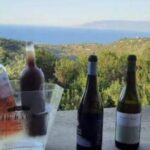 Luxury Wine tasting at your place in Cyprus - Why This Experience Works