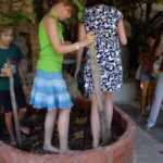 Lychnostatis Open Air Museum : Grape-Feast every Wednesday - What the Tour Entails