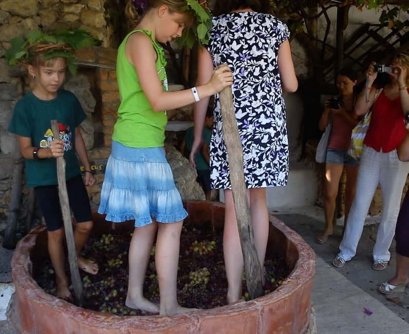 Lychnostatis Open Air Museum : Grape-Feast every Wednesday - What the Tour Entails
